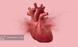 افزایش خطر نارسایی قلبی با مصرف طولانیمدت ملاتونین افزایش خطر نارسایی قلبی با مصرف طولانیمدت ملاتونین