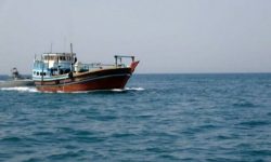 توقیف شناور حامل ۶۰۰ کیلوگرم ماهی قاچاق در آبهای قشم توقیف شناور حامل ۶۰۰ کیلوگرم ماهی قاچاق در آبهای قشم