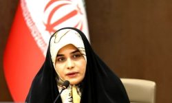 نماینده مجلس: مصوبات سفر مسئولان به هرمزگان باید اجرایی شود نماینده مجلس: مصوبات سفر مسئولان به هرمزگان باید اجرایی شود