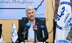 رئیس جهاد دانشگاهی هرمزگان: جهاد بازوی توانمند حل نظام مسائل استان است