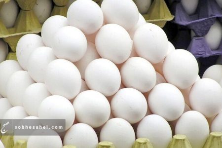 کاهش ۴۰۰ درصدی صادرات تخم‌مرغ در سال جاری