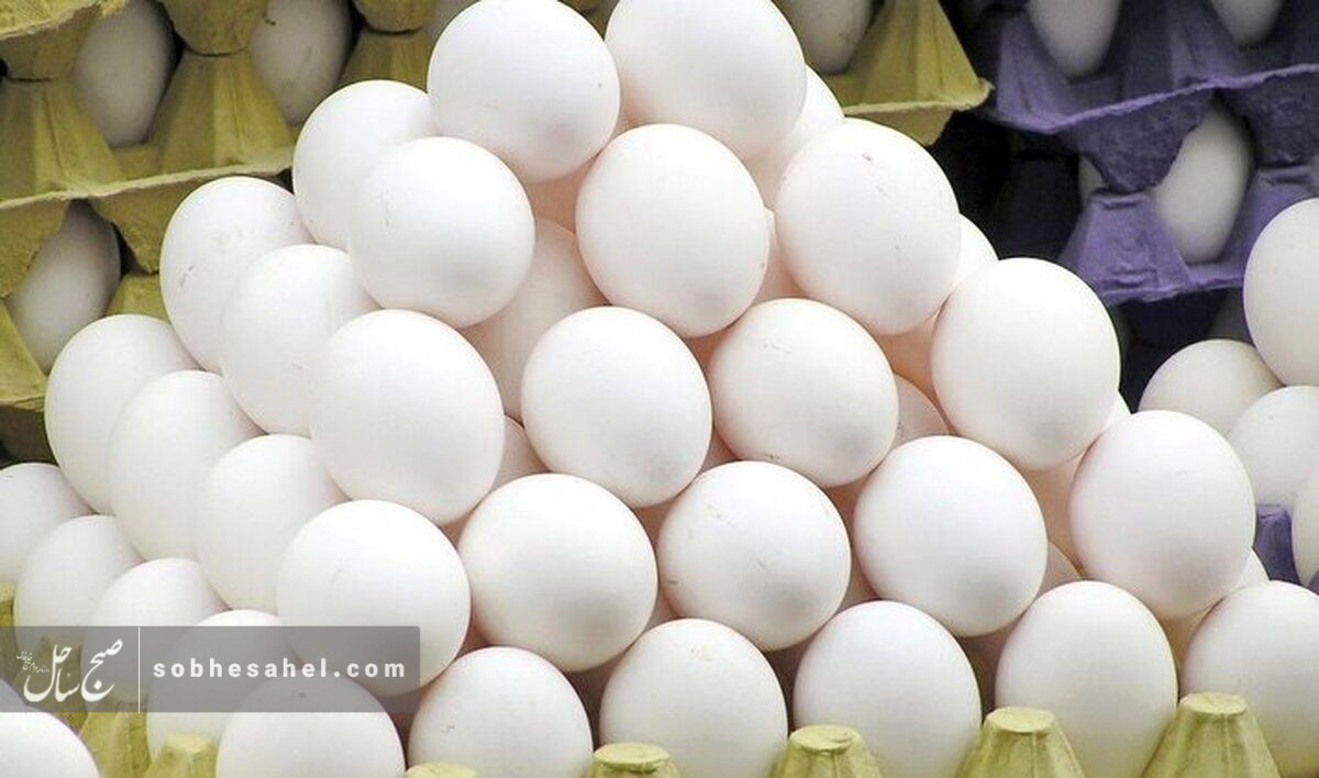 کاهش ۴۰۰ درصدی صادرات تخم‌مرغ در سال جاری