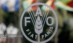 افزایش قیمت مواد غذایی در جهان افزایش قیمت مواد غذایی در جهان