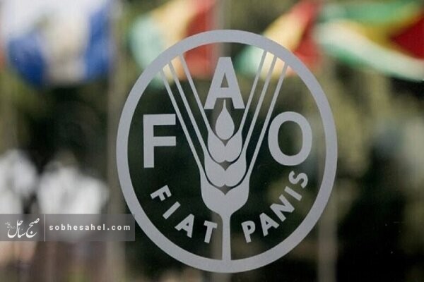 افزایش قیمت مواد غذایی در جهان افزایش قیمت مواد غذایی در جهان