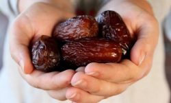 گزارش مهر از برداشت «مجول» مرغوب‌ترین خرمای جهان در رودان – خبرگزاری مهر | اخبار ایران و جهان