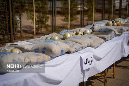 کشف ۱۹۶ کیلوگرم تریاک در عملیات ضربتی پلیس حاجی‌آباد – خبرگزاری مهر | اخبار ایران و جهان
