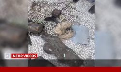 جزئیات موشک آمریکایی مورد استفاده شده در عروسی کوهستک – خبرگزاری مهر | اخبار ایران و جهان جزئیات موشک آمریکایی مورد استفاده شده در عروسی کوهستک – خبرگزاری مهر | اخبار ایران و جهان