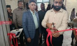 شمجوئیه؛ طلوع یک چراغ فرهنگی شمجوئیه؛ طلوع یک چراغ فرهنگی